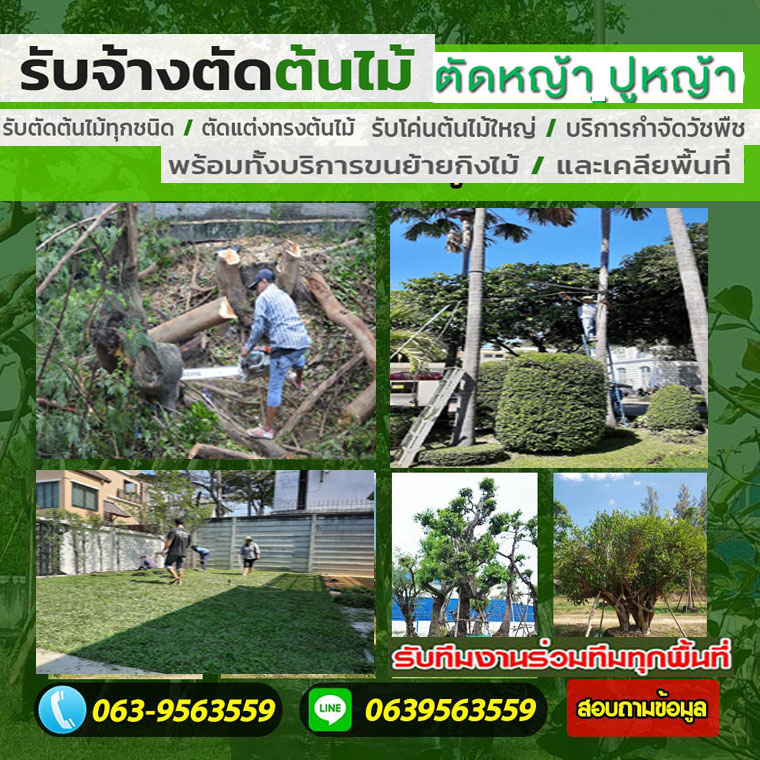 รับตัดต้นไม้กาญจนบุรี