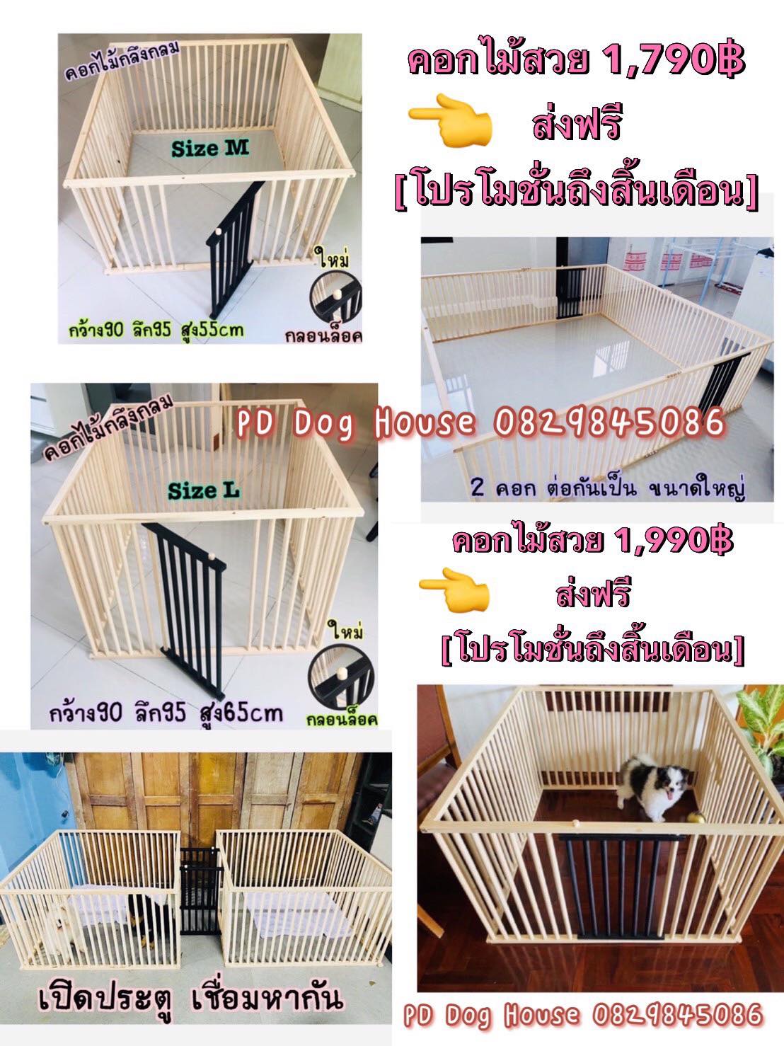 บ้านหมากรงแมวอำเภอคลองหลวง